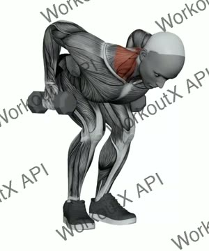 Dumbbell Pendlay Row exercise demonstration