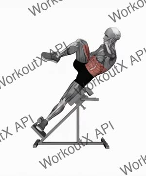 45 Degree Bicycle Twist Knee to Elbow exercise demonstration