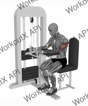 Tricep Extension Machine exercise demonstration