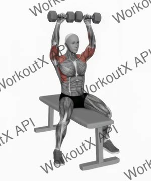 Dumbbell Bench Seated Press exercise demonstration