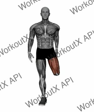 Standing Quadriceps Stretch exercise demonstration