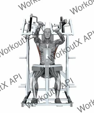 Hammer Strength Plate Loaded High Row Alternate Arms exercise demonstration