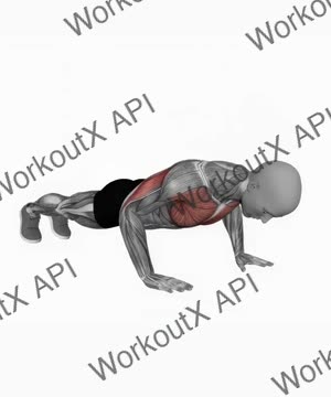 Explosive Push Ups exercise demonstration