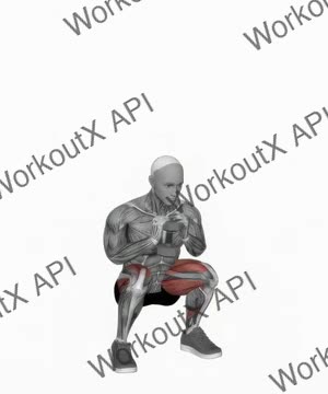 Dumbbell Goblet 2 Sec Hold Squat exercise demonstration