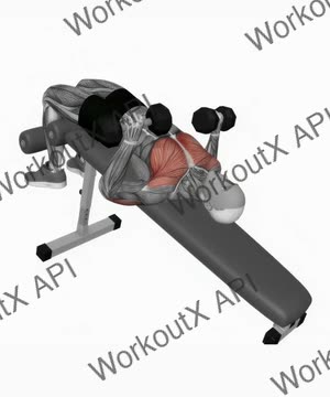 Dumbbell Decline Alternate Bench Press exercise demonstration
