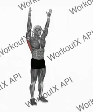 Dynamic Back Stretch exercise demonstration