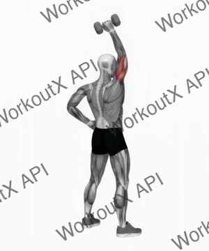 Dumbbell Standing One Arm Extension exercise demonstration