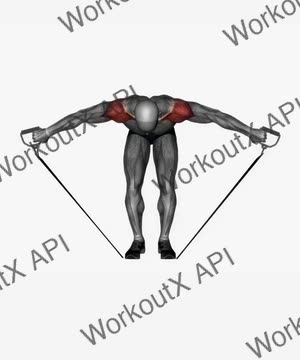 Bent Over Rear Deltoid Fly Resistance Band exercise demonstration