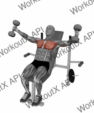 Dumbbell Fly Incline Bench exercise demonstration