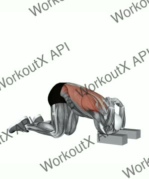 Child Pose Elbows on Block exercise demonstration