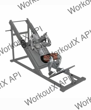 Hack Squat Machine Squat exercise demonstration