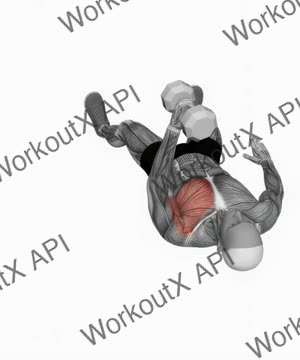 Dumbbell One Arm Floor Fly exercise demonstration