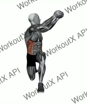 Dumbbell Half Kneeling Wood Chopper exercise demonstration