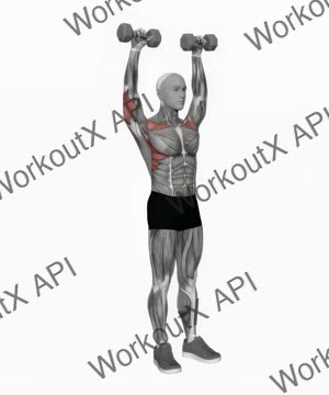 Dumbbell Standing Behind Back Shoulders Press exercise demonstration