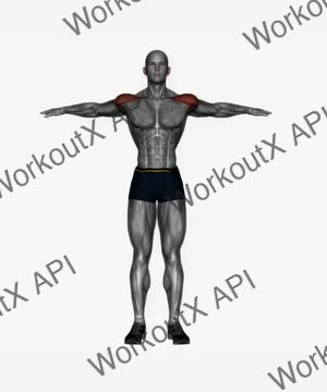 Arm Circle exercise demonstration