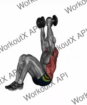 Dumbbell Close Grip Shoulder Press Sit Up exercise demonstration