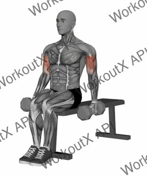 Alternate Hammer Curl Seated Dumbbells exercise demonstration
