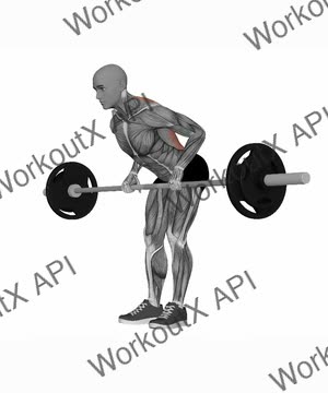 Barbell Bent Over Row Pronate Grip exercise demonstration