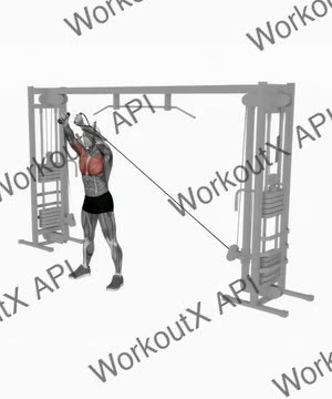 Cable Upper Chest Crossover exercise demonstration