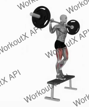 Barbell Step Up on Bench exercise demonstration