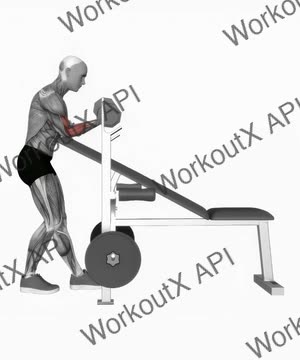 Dumbbell Standing One Arm Curl Over Incline Bench exercise demonstration