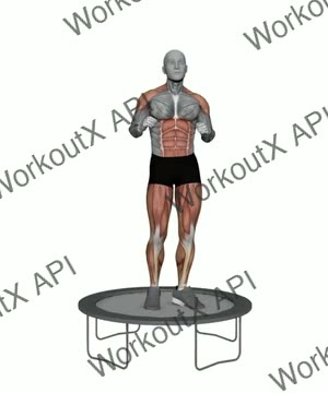 Rebounder Light Jumps exercise demonstration