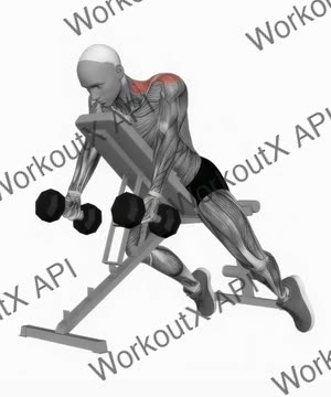 Dumbbell Decline Shrug exercise demonstration