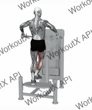 Multi Hip Adduction exercise demonstration