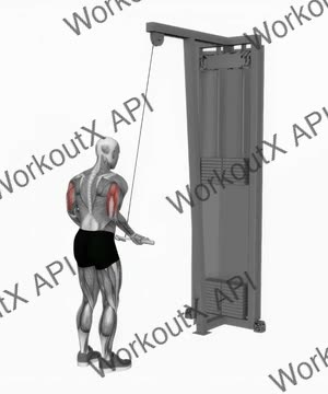 Cable Reverse Grip Triceps Pushdown (Ez-Bar) exercise demonstration