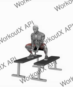 Dumbbell Sumo Squat Off Benches exercise demonstration