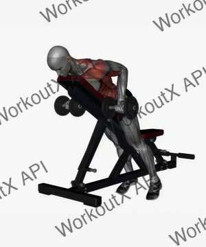 Prone Bench Row Dumbbells Supinated Grip exercise demonstration