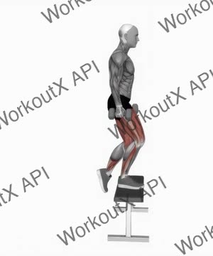 Dumbbell Step Up on Bench exercise demonstration