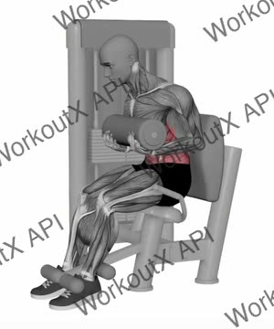 Abdominal Crunches Machine exercise demonstration