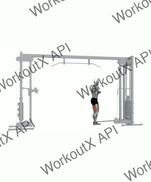 Cable Hamstring Curl exercise demonstration