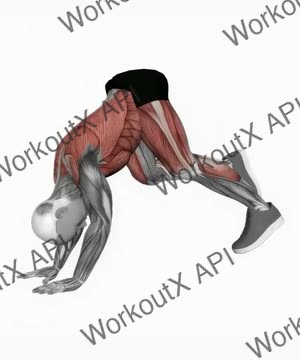 Downward Dog Sprint exercise demonstration