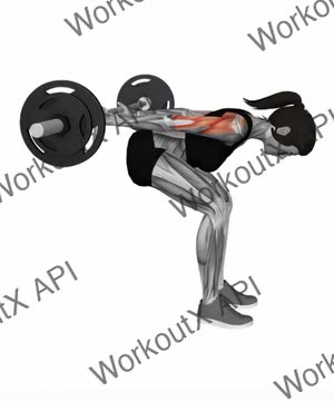 Barbell Bent Over Reverse Raise (Skier) exercise demonstration