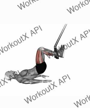 Suspension Trainer With Grips Straight Hip Leg Curl exercise demonstration