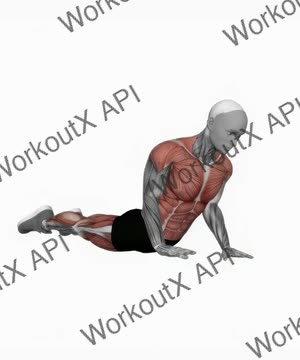 Cobra Push Up exercise demonstration