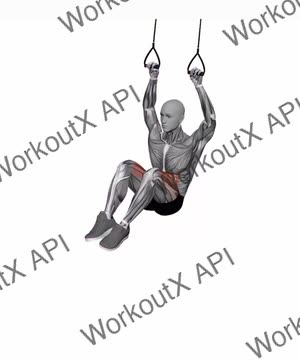 Suspension Trainer With Grips Hanging Knees to Elbows exercise demonstration
