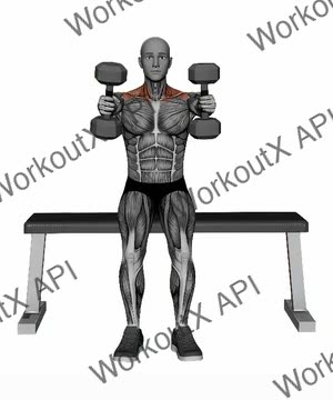 Seated Dumbbell Neutral Grip Front Raises exercise demonstration