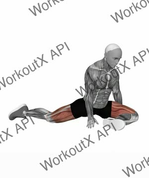 Pigeon Pose exercise demonstration