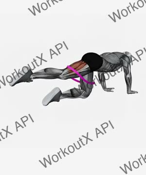 Resistance Band Kneeling Leg Half Circle exercise demonstration
