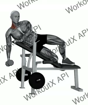 Dumbbell Laying 30 Degree Shrug exercise demonstration