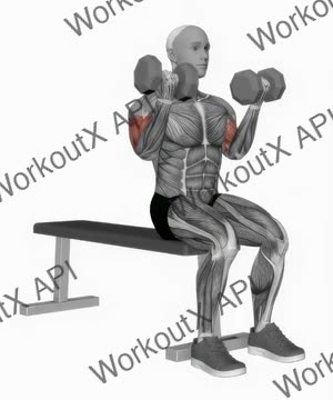 Dumbbell Seated Curl exercise demonstration