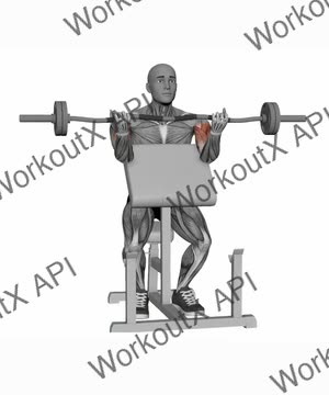 Preacher Curl Ez Bar Wide Grip exercise demonstration