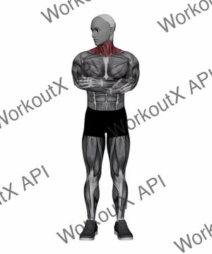 Half Neck Rolls exercise demonstration