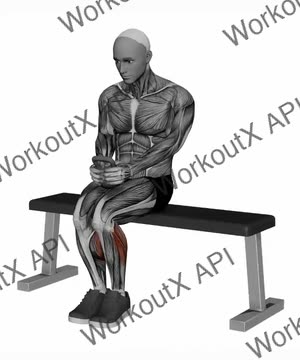 Kettlebell Seated Calf Raise exercise demonstration