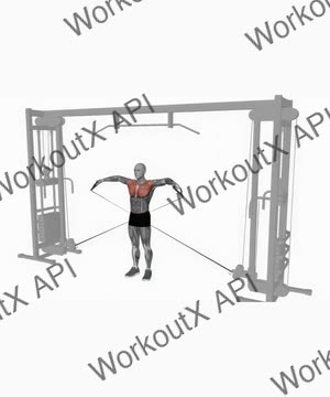 Cable Lateral Raises exercise demonstration