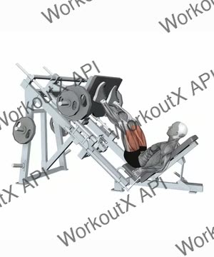Leg Press Machine Normal Stance (Variation 2) exercise demonstration