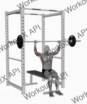 Barbell Seated Military Press exercise demonstration